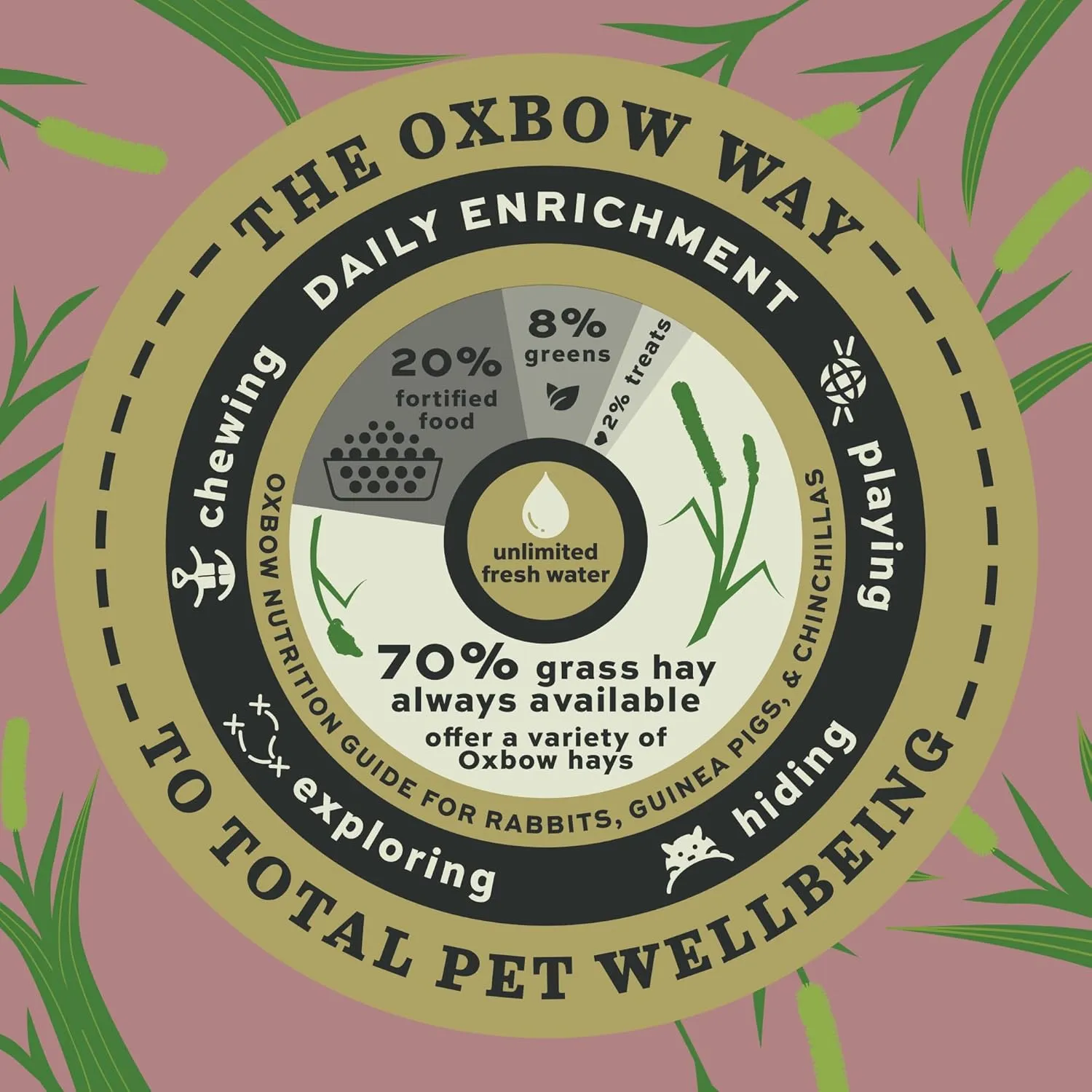 Oxbow Timothy Hay, Premium Food for Rabbits, Guinea Pigs, and Chinchillas, Prime Cut, High-Fiber Hay, Rabbit Dental Health (Soft & Lush, 40 oz)