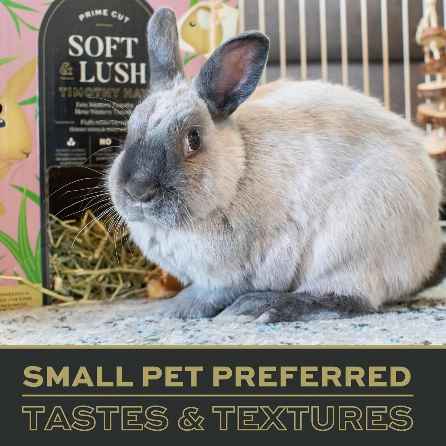 Oxbow Timothy Hay, Premium Food for Rabbits, Guinea Pigs, and Chinchillas, Prime Cut, High-Fiber Hay, Rabbit Dental Health (Soft & Lush, 40 oz)