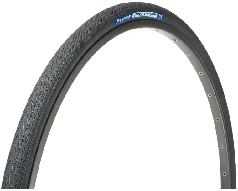 Panaracer Pasela Protite Urban Tire, Wire Bead, Black Tread/Black Sidewall (590911)