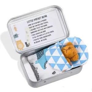 Personalized Mini Stuffed Bear in a Tin Plush Pocket Bear for Anti Anxiety Stress Worry Christmas Baby Shower Friend Birthday Supplies Gift (Style 2)