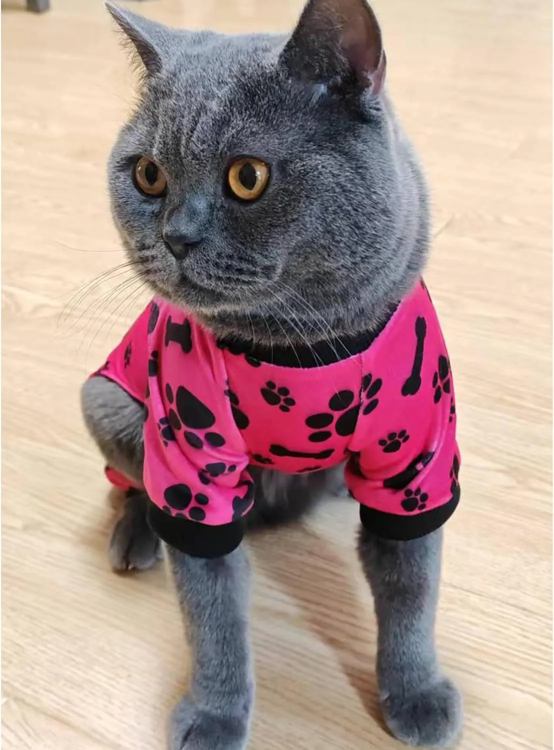 PET SHOW 4 Pack Small Dog Pajamas Paw Bone Patterns Cute Clothes for Medium Dogs Soft Stretchy PJs 4 Legged Jumpsuit Puppy Cats Onesies Outfits with Sleeve Dachshund Doggies Girl Boy (Small)