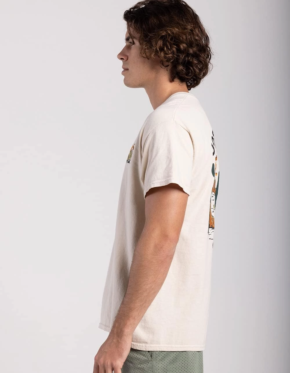 Rsq Mens Joshua Tree National Park Tee