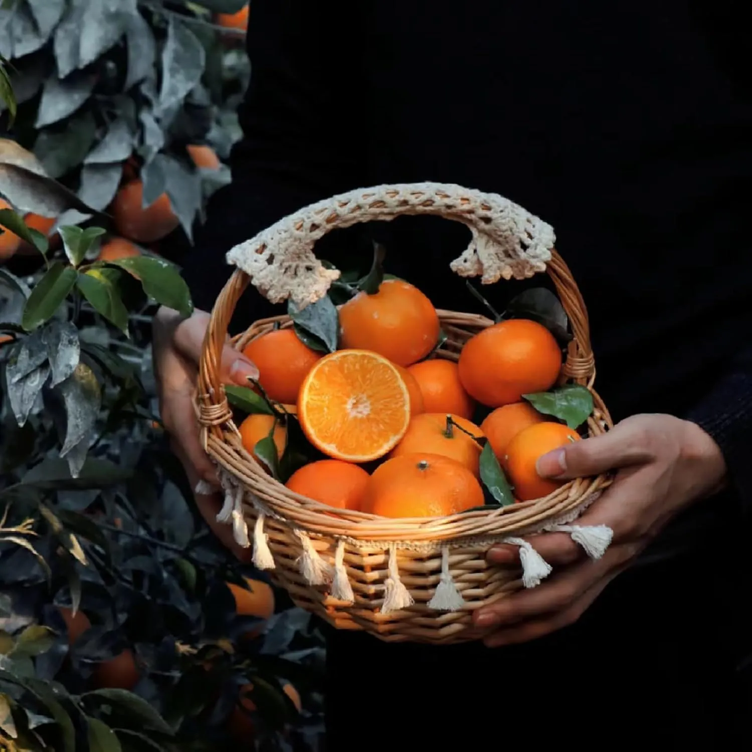TXDYNLLK Dried Orange Slices 17.6oz(500g) Dehydrated Oranges for Vibrant Cocktails, Festive Christmas Decor, Aromatic Candles, Creative Crafts-Citrus Wheels Perfect for Flavorful Fruit Tea