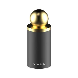 VALL Oil-Absorbing Volcanic Face Roller, Face Oil Remover, Face Massage, Reusable Face Oil Absorbing Skincare Tool [ Volcanic Stone Ball ] - Gold