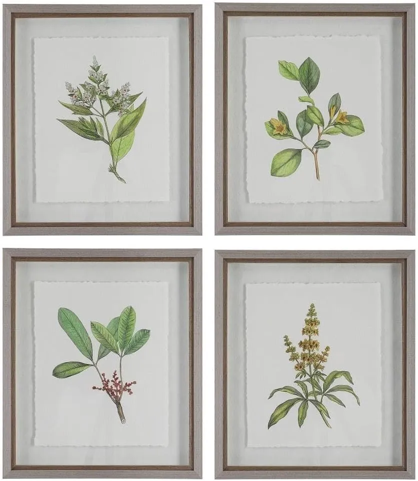 Wildflower Study - Framed Wall Decor (Set of 4)-22 Inches Tall and 19 Inches Wide