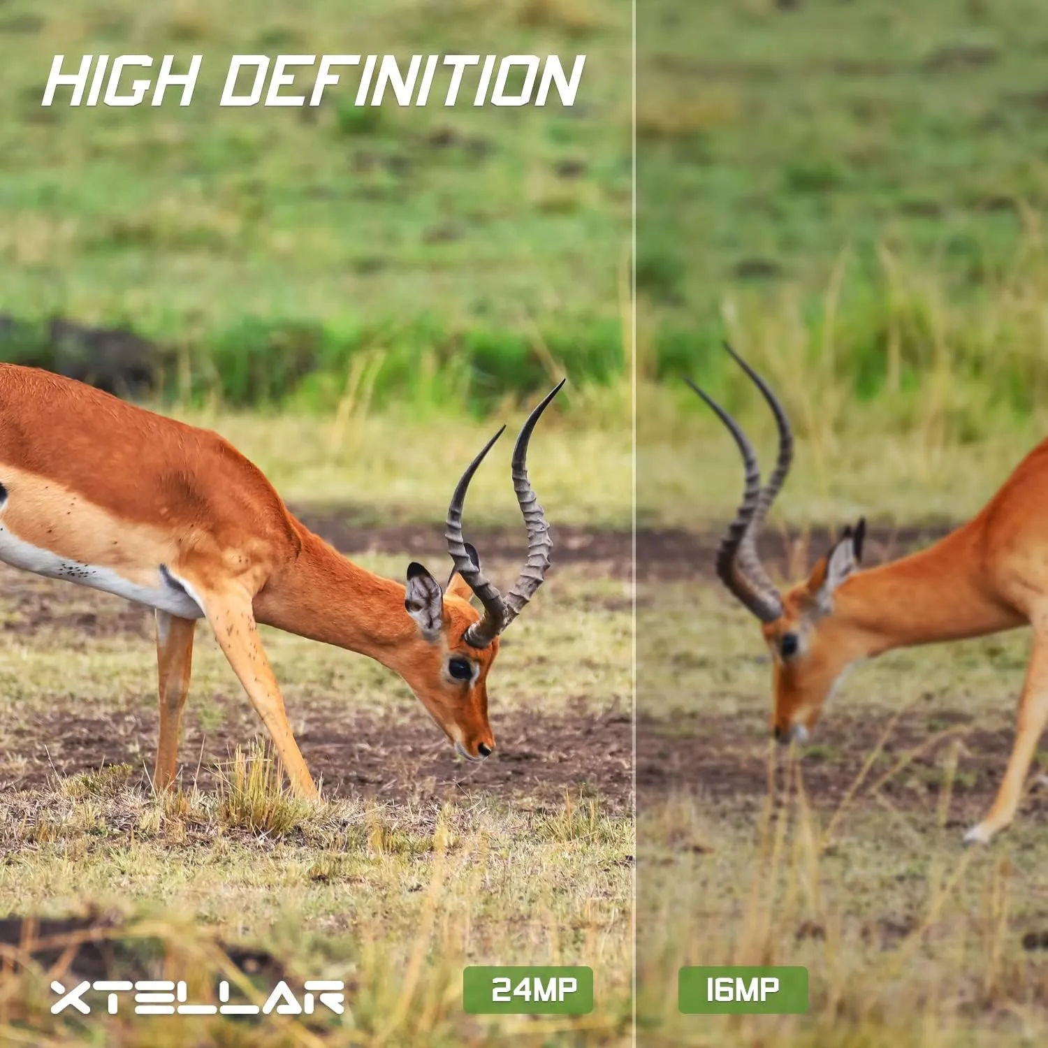Xtellar Trail Camera 48MP 1296P IP66 Waterproof with Clear Night Vision and 3 Passive Infrared Motion Sensors for Hunting Scouting Range Control and Wildlife Researching (Camo Brown)