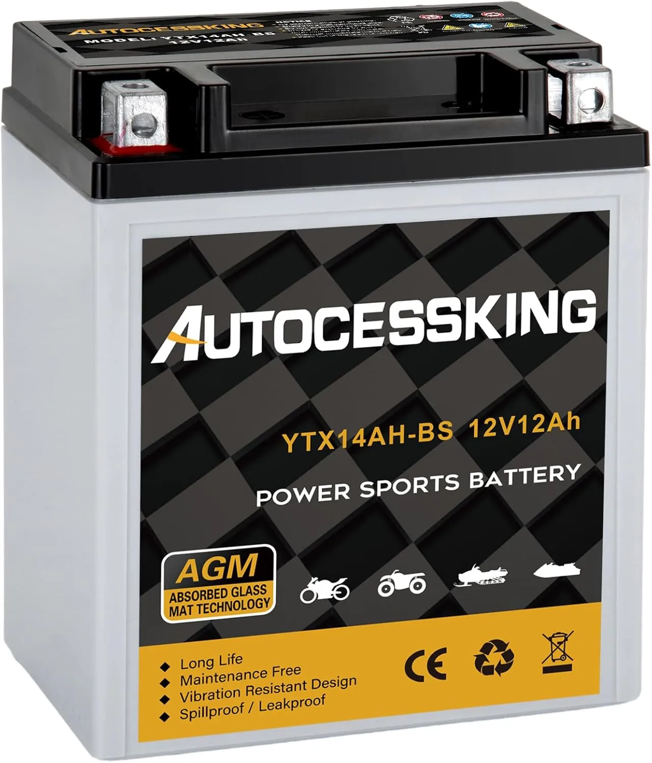 YTX14AH-BS 12V 12Ah Battery, Rechargeable Sealed AGM Battery Maintenance Free Powersport Replacement Battery for Motorcycle, ATV and Scooter