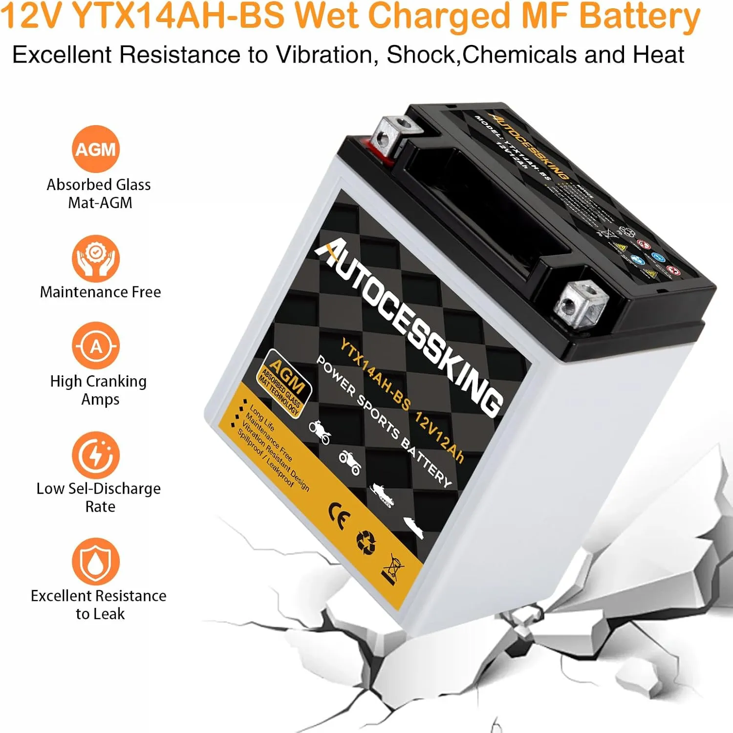 YTX14AH-BS 12V 12Ah Battery, Rechargeable Sealed AGM Battery Maintenance Free Powersport Replacement Battery for Motorcycle, ATV and Scooter