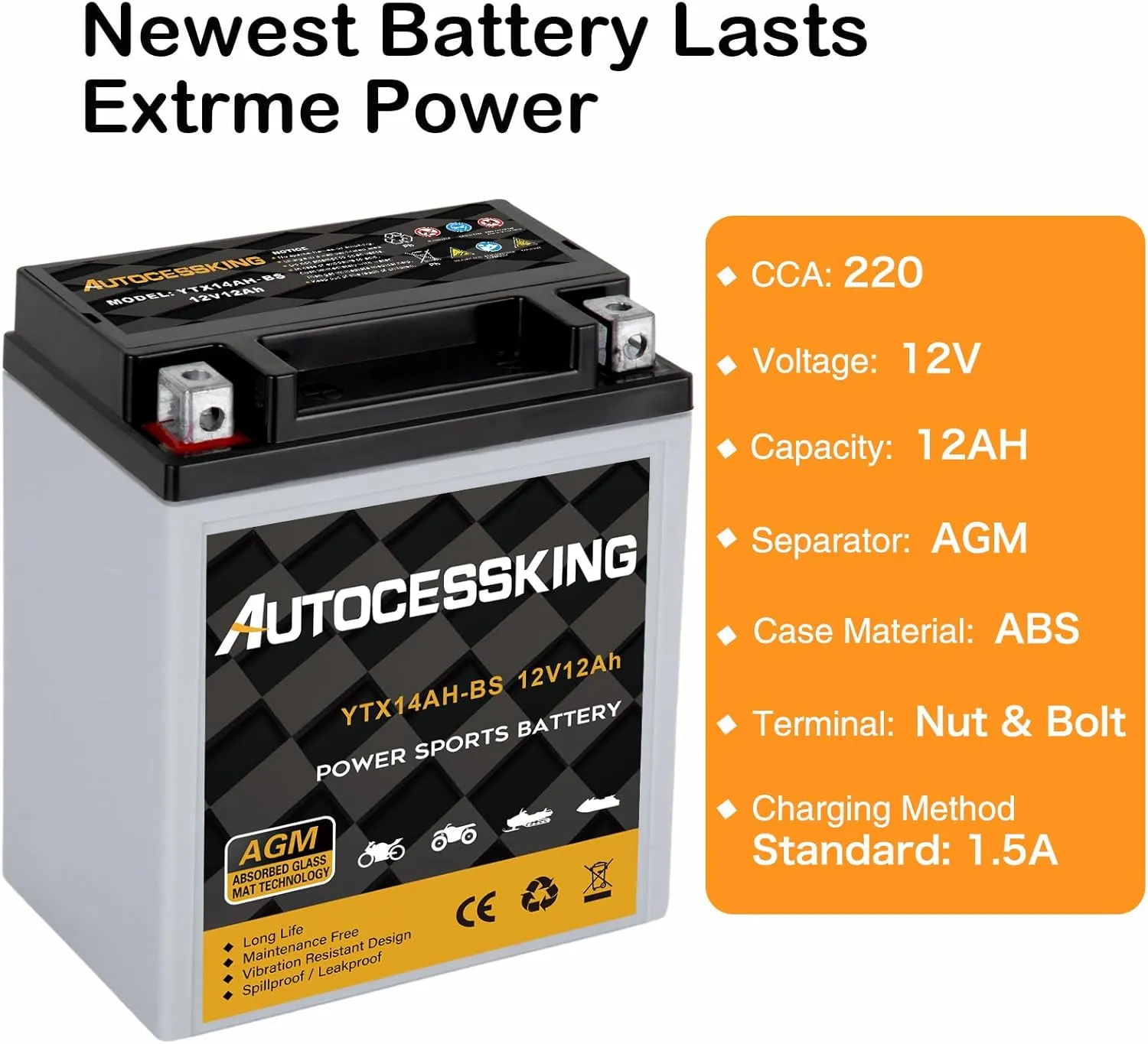 YTX14AH-BS 12V 12Ah Battery, Rechargeable Sealed AGM Battery Maintenance Free Powersport Replacement Battery for Motorcycle, ATV and Scooter